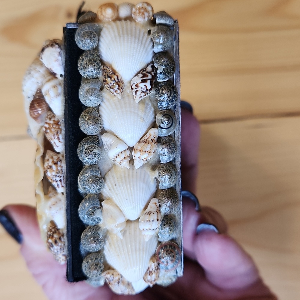 Sea Shell Box Trinkets Jewelry - Picture 8 of 12